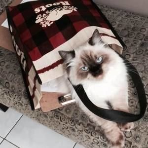 Meet your Posher, Saad